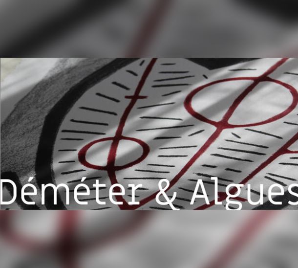 gallerie-demeter-et-algues